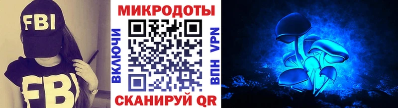 Псилоцибиновые грибы прущие грибы  Купить закладки  Гусев 